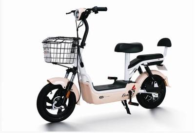 3款人气电动车，总有一款适合你